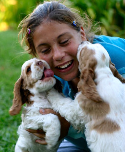girl with cocker puppies